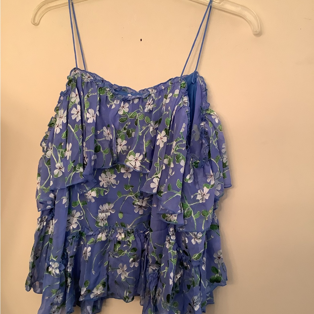 Alice+Olivia Dropped Shoulder Blue Floral Ruffled Blouse Xs Nwt